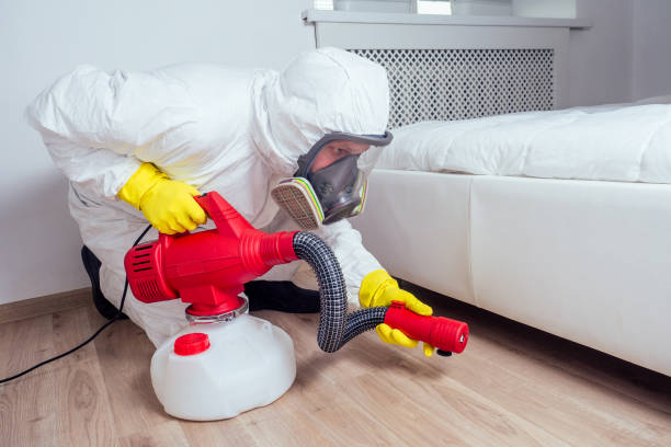 Best Best Pest Control Companies  in Fairbanks Ranch, CA