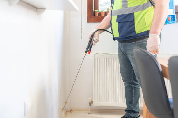 Best Termite Control Services  in Fairbanks Ranch, CA