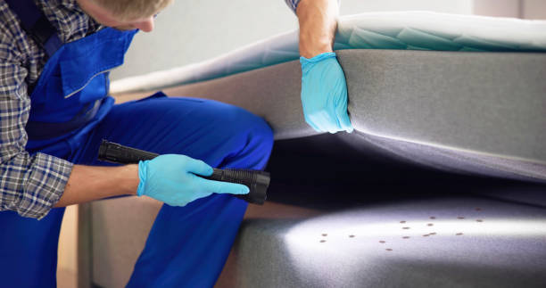 Best Flea Control Services  in Fairbanks Ranch, CA